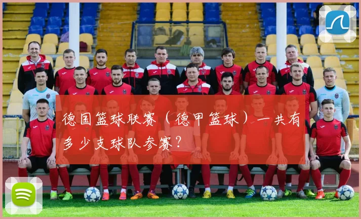 德国篮球联赛（德甲篮球）一共有多少支球队参赛？