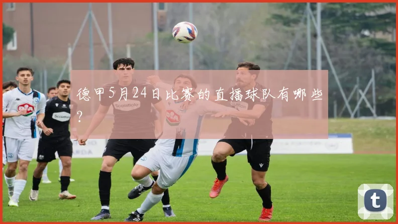 德甲5月24日比赛的直播球队有哪些？