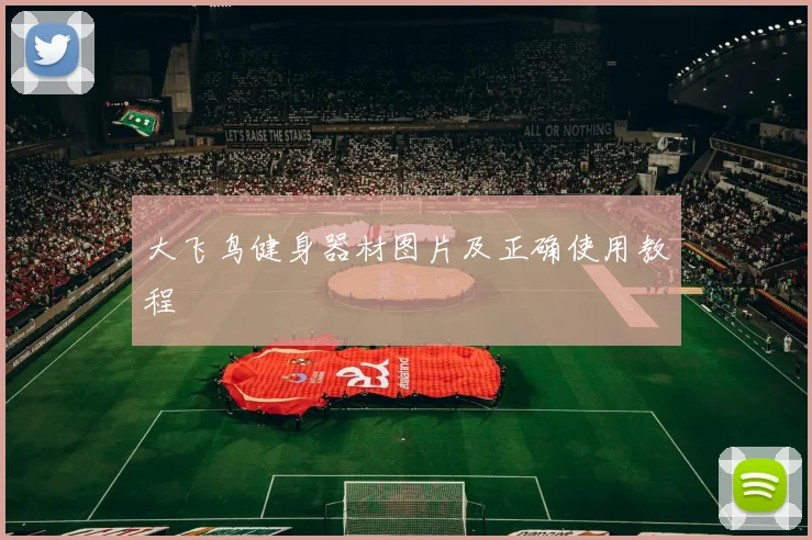 大飞鸟健身器材图片及正确使用教程