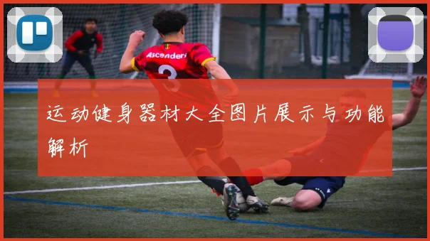 运动健身器材大全图片展示与功能解析