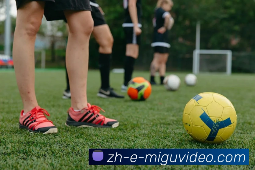 多媒体互动体验